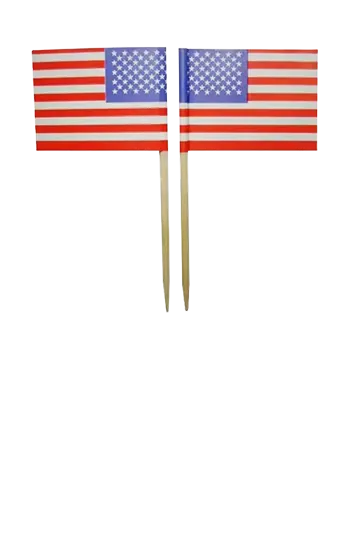 Custom Toothpick Paper Flag