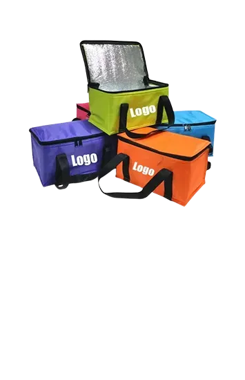 Portable Thermal Cooler Bag